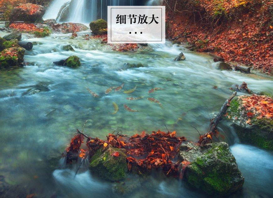 叫上云霄是四字成语吗?